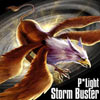 Storm Buster