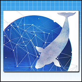 Beluga