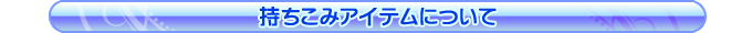 持ち込みアイテムについて