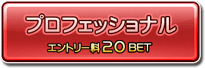 プロフェッショナル