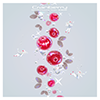 Cranberry