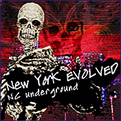 New York EVOLVED