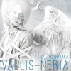 VALLIS-NERIA