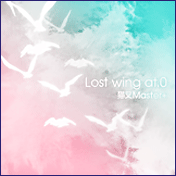 Lost wing at.0